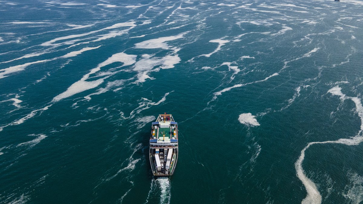 A view of a mass of sea mucilage, also known as “sea snot,” on the Kocaeli shore, Türkiye, June 12, 2021. (AP Photo)