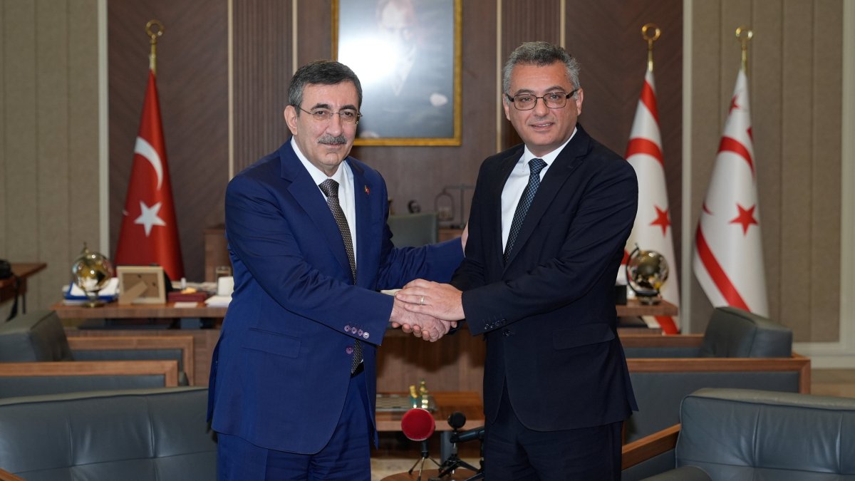 Turkish troops ensure stability in Cyprus: VP Yılmaz