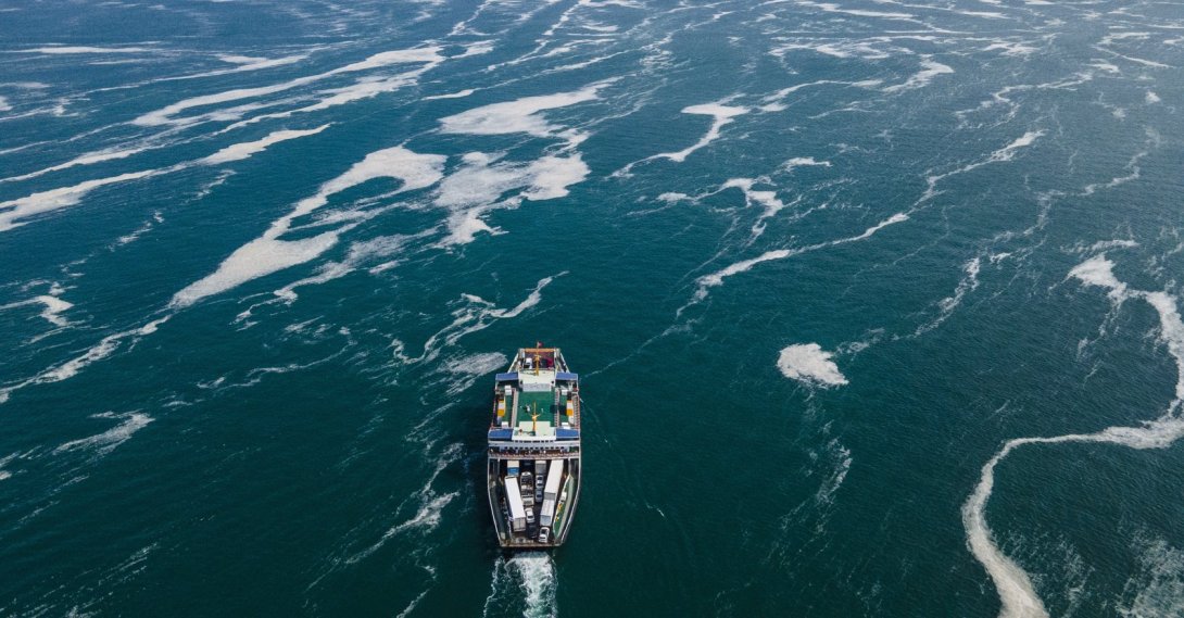 A view of a mass of sea mucilage, also known as “sea snot,” on the Kocaeli shore, Türkiye, June 12, 2021. (AP Photo)