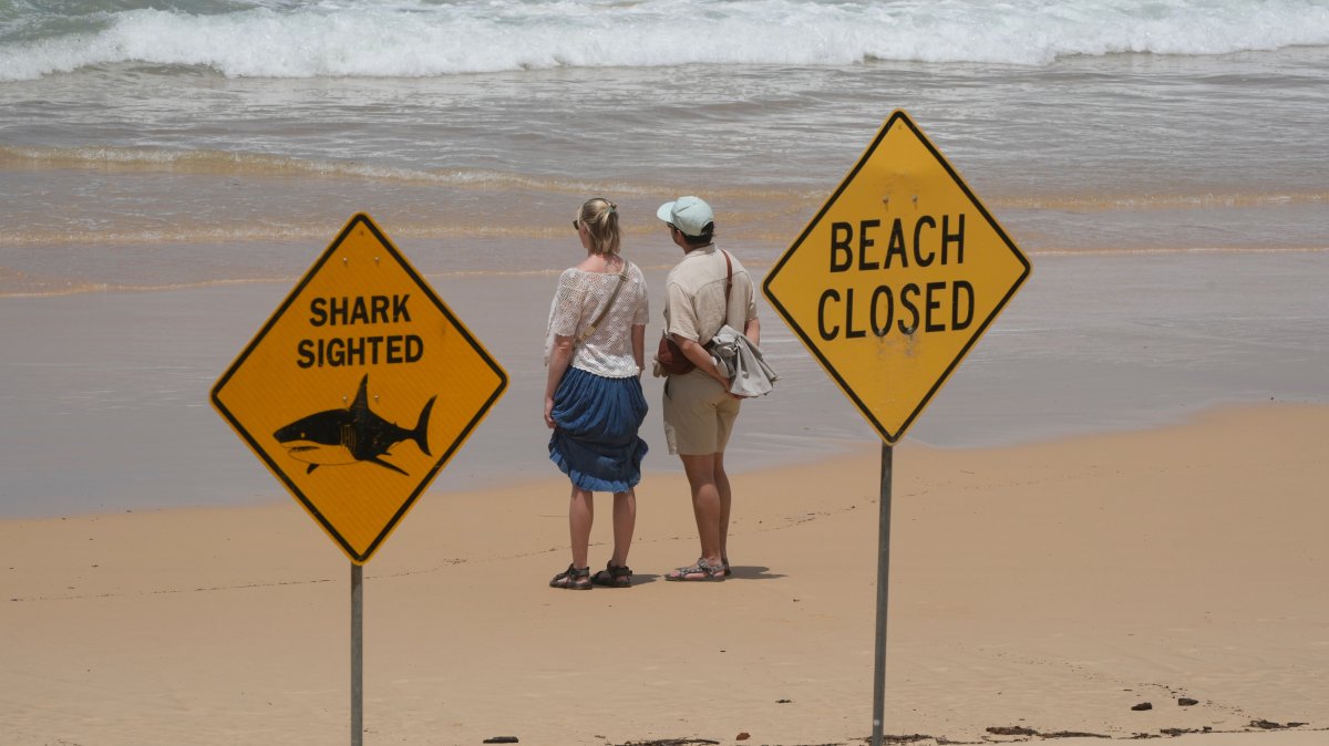 Surfer hurt in 4th shark attack off Australia in 3 days