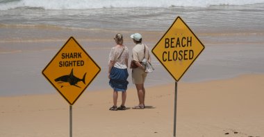 A couple look out to sea at North Steyne Beach in Sydney, Australia, Jan. 20, 2026. (AP Photo)