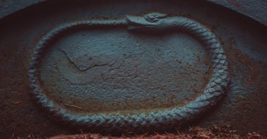 "The law of the strongest became a problem only when its implications started to go against Europe’s 'interests.'" (Shutterstock Photo)