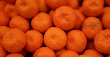 Fresh mandarins are displayed at a wholesale market stall in Istanbul, Türkiye, Jan. 22, 2026. (AA Photo)