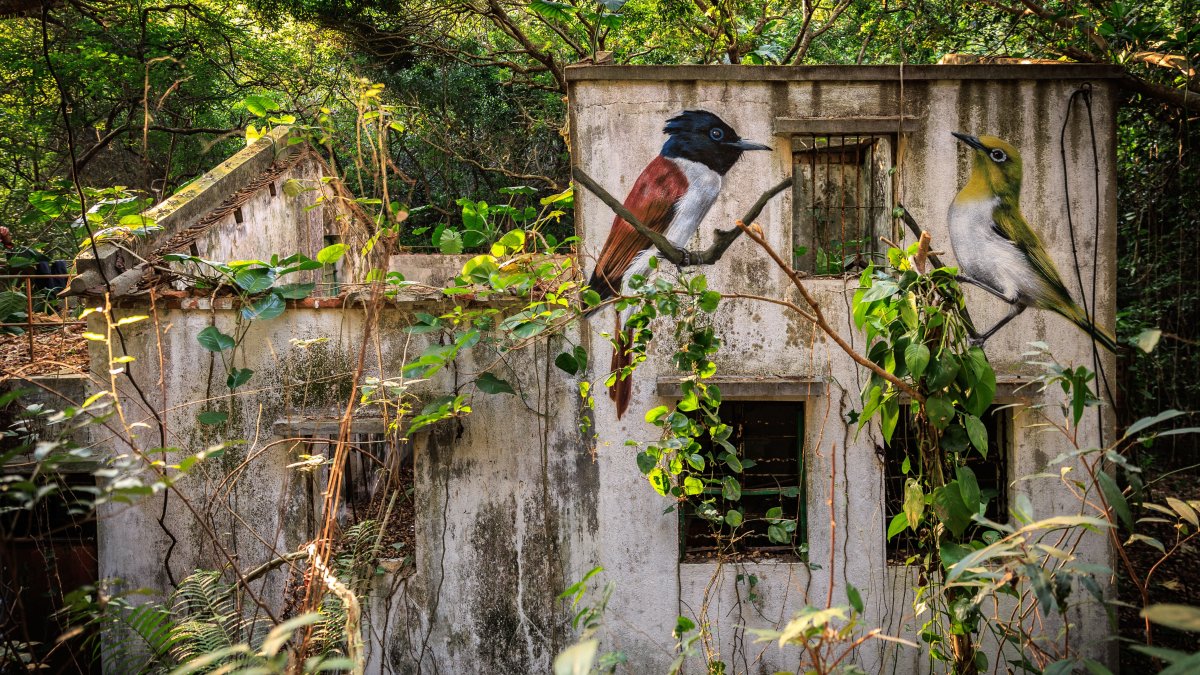 Painted birds take flight on Hong Kong’s Lantau Island