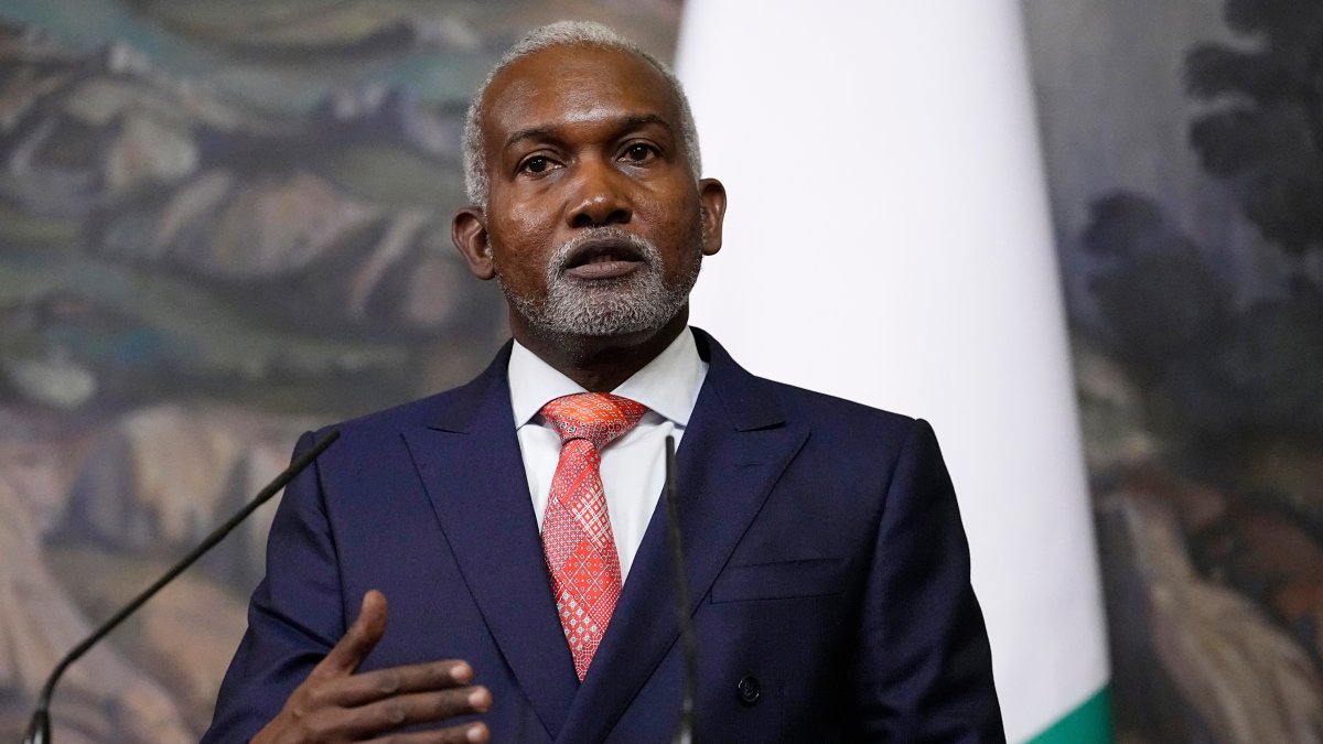 Trade, defense ties under spotlight as Nigerian FM visits Türkiye