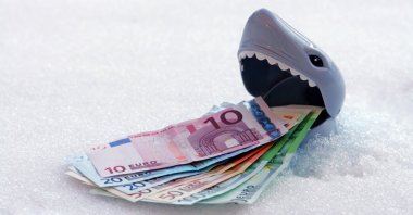"A total of 54 billion euros leaking out of the French economy in a single year, which is roughly 1,800 euros per household." (Shutterstock Photo)