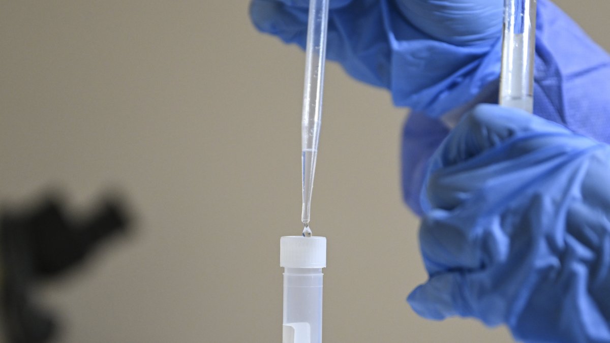 A researcher at Gazi University prepares a genetic sample in a cryovial, Ankara, Türkiye, Jan. 28, 2026. (AA Photo) 