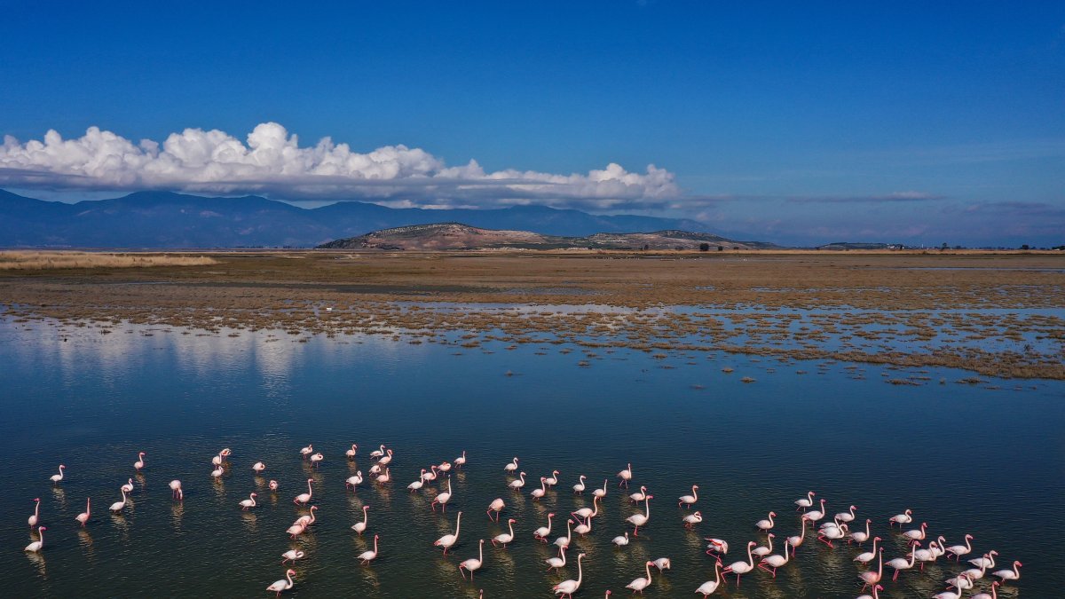 Türkiye's wetland loss reaches 1.5 times size of Sea of Marmara