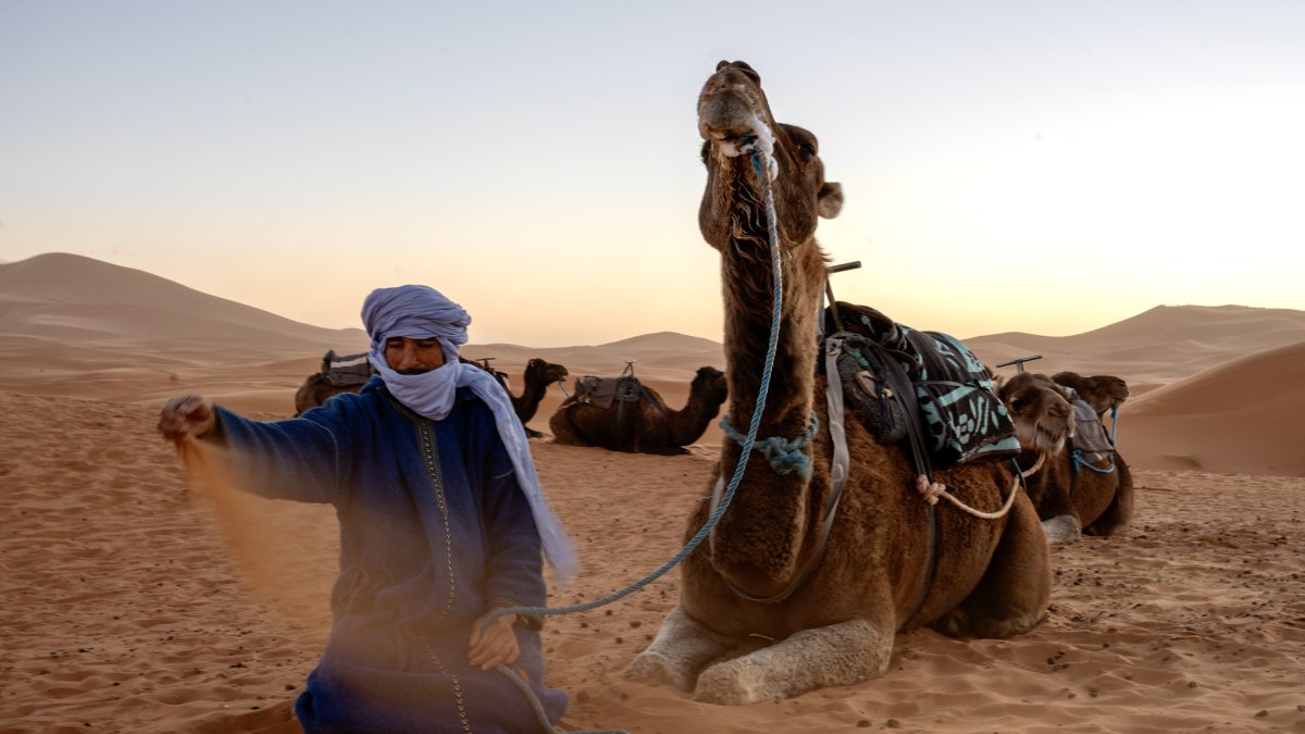 Residents guide tourists by camel in Morocco’s Sahara Desert