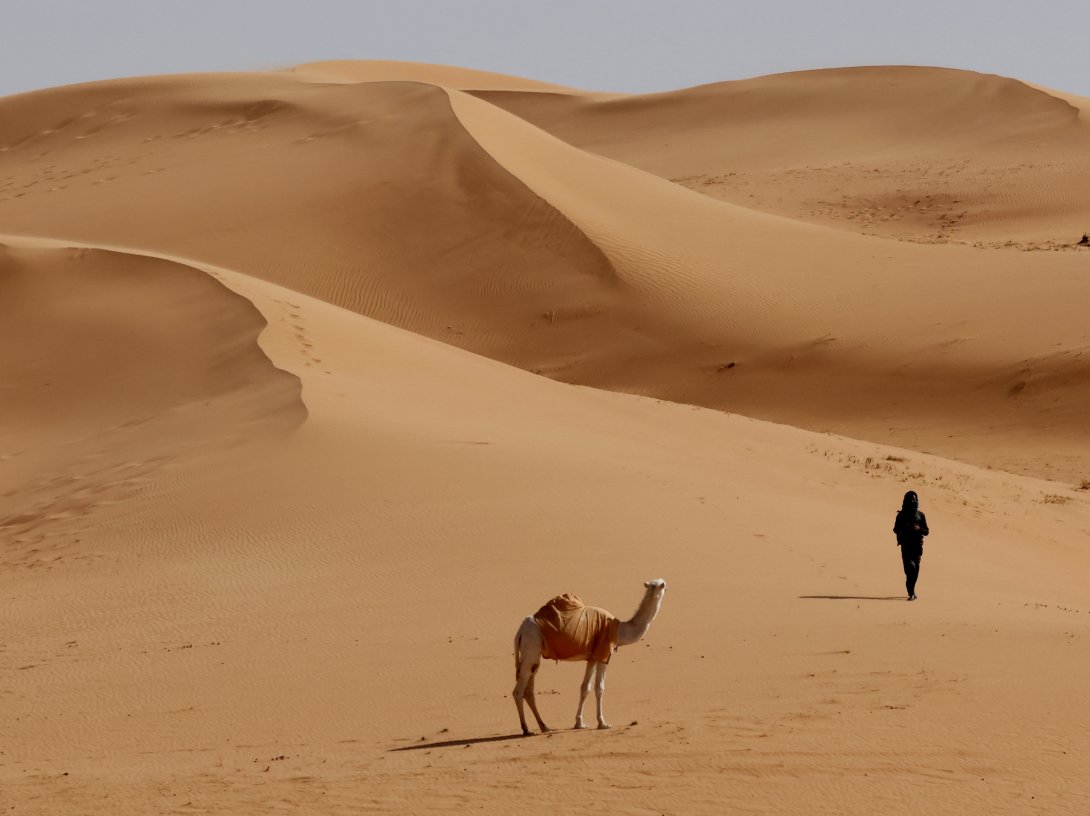 A camel and a local resident are pictured during Stage 6 of the Dakar Rally, Hail, Saudi Arabia, Jan. 9, 2026. (Reuters Photo)