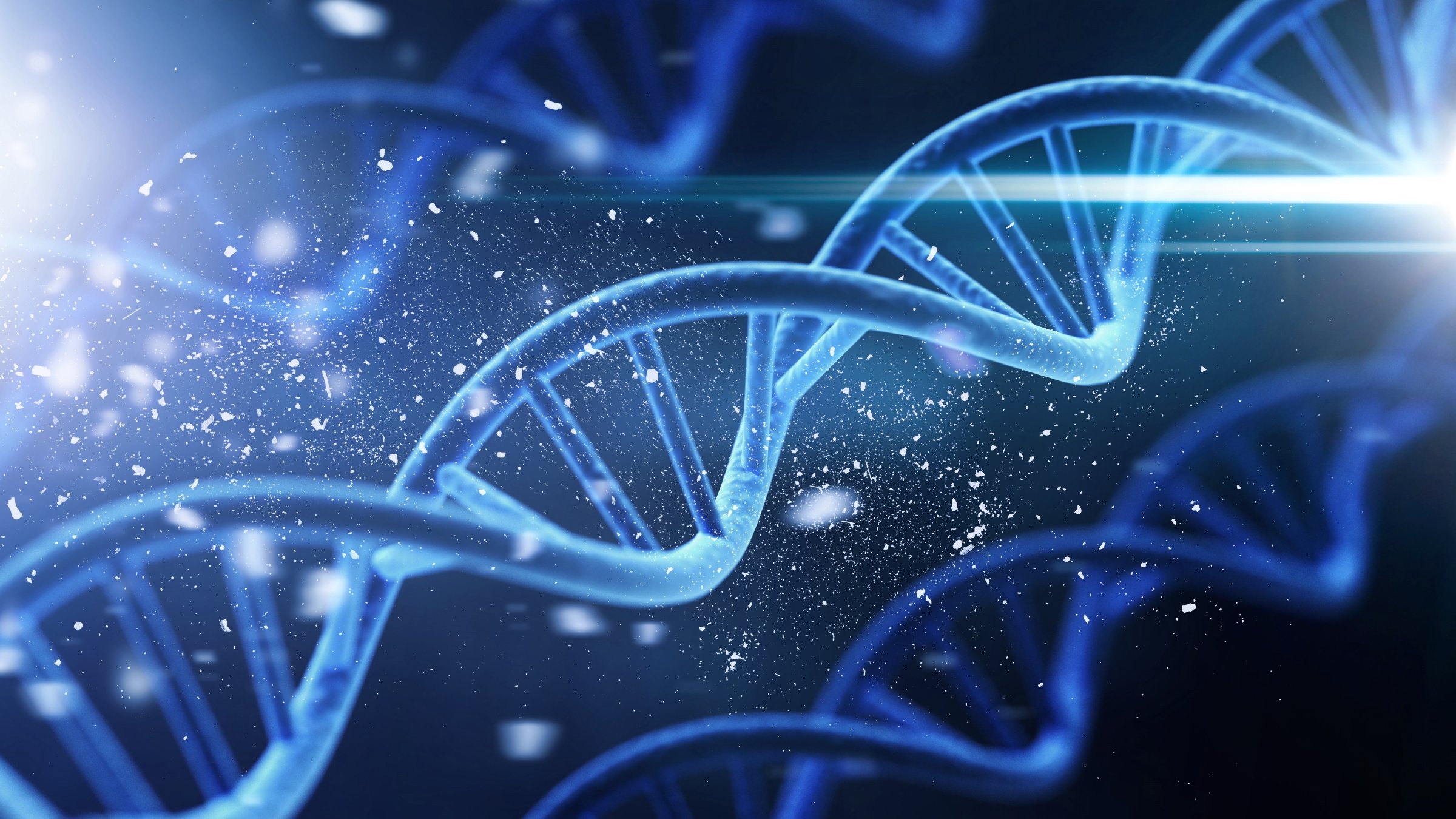 A new ​study points to a larger role for genetics than previous ‍research had indicated, estimating the contribution of genes to determining human lifespan at about 50%. (Shutterstock Photo)
