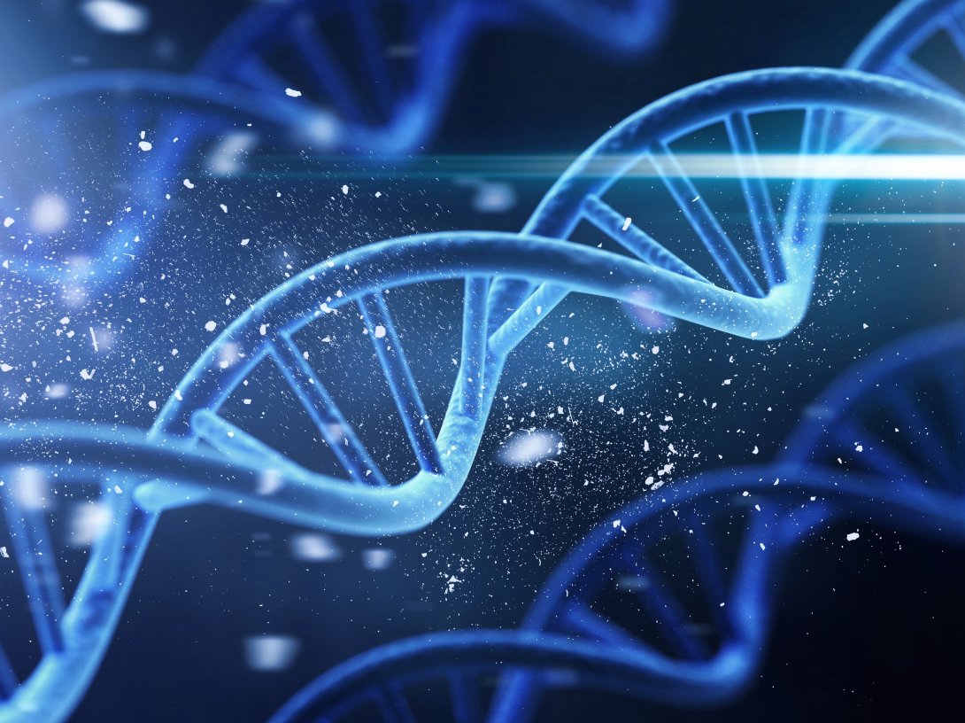 A new ​study points to a larger role for genetics than previous ‍research had indicated, estimating the contribution of genes to determining human lifespan at about 50%. (Shutterstock Photo)