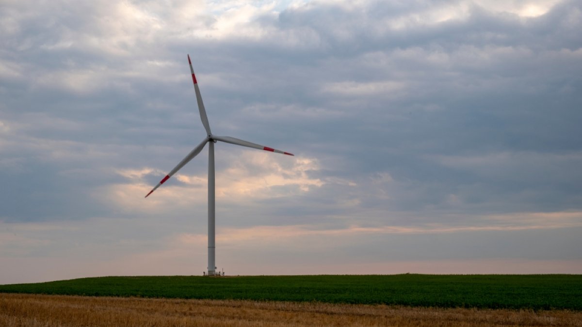 Wind capacity in Türkiye nears 16,000 MW after record 2025 gains