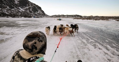Musher Nukaaraq Lennert Olsen rides in a sled pulled by his team of dogs near the "dog town," Sisimiut, Greenland, Jan. 31, 2026. (AFP Photo)