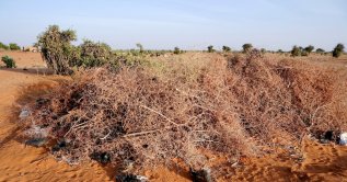 A burial site for the victims of a drone strike, in El Obeid, North Kordofan State, Sudan, Jan. 14, 2026. (Reuters File Photo)