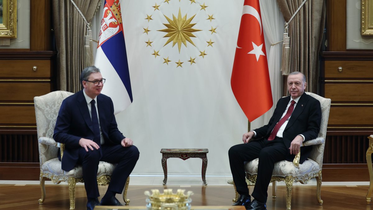 President Recep Tayyip Erdoğan and Aleksandar Vucic hold a meeting in Ankara, Feb. 12, 2026. (DHA Photo)