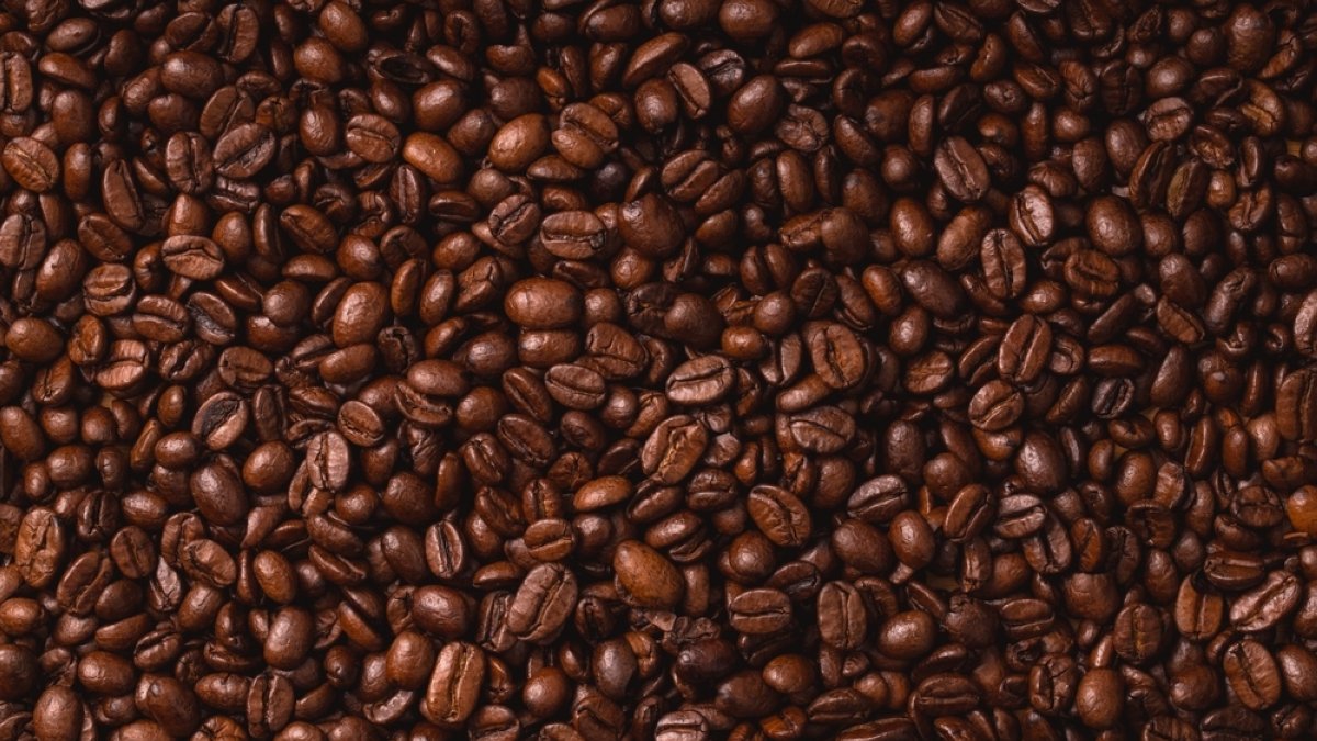 Rising temperatures threaten coffee yields worldwide: Study