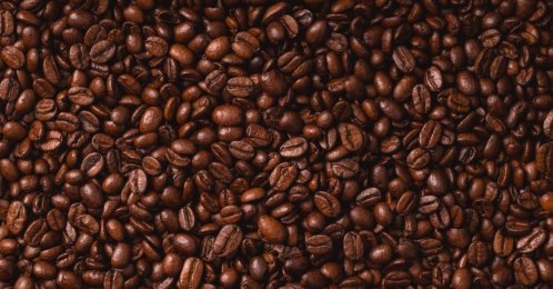 The world's main coffee-growing regions are roasting under additional days of climate change-driven heat every year, threatening harvests and contributing to higher prices, researchers said. (Shutterstock Photo)