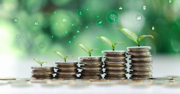 "Türkiye's hosting and presidency of the COP31 in 2026 is both a diplomatic success and a strong reflection of its will to be among the countries shaping economic governance in the green transition process." (Shutterstock Photo)