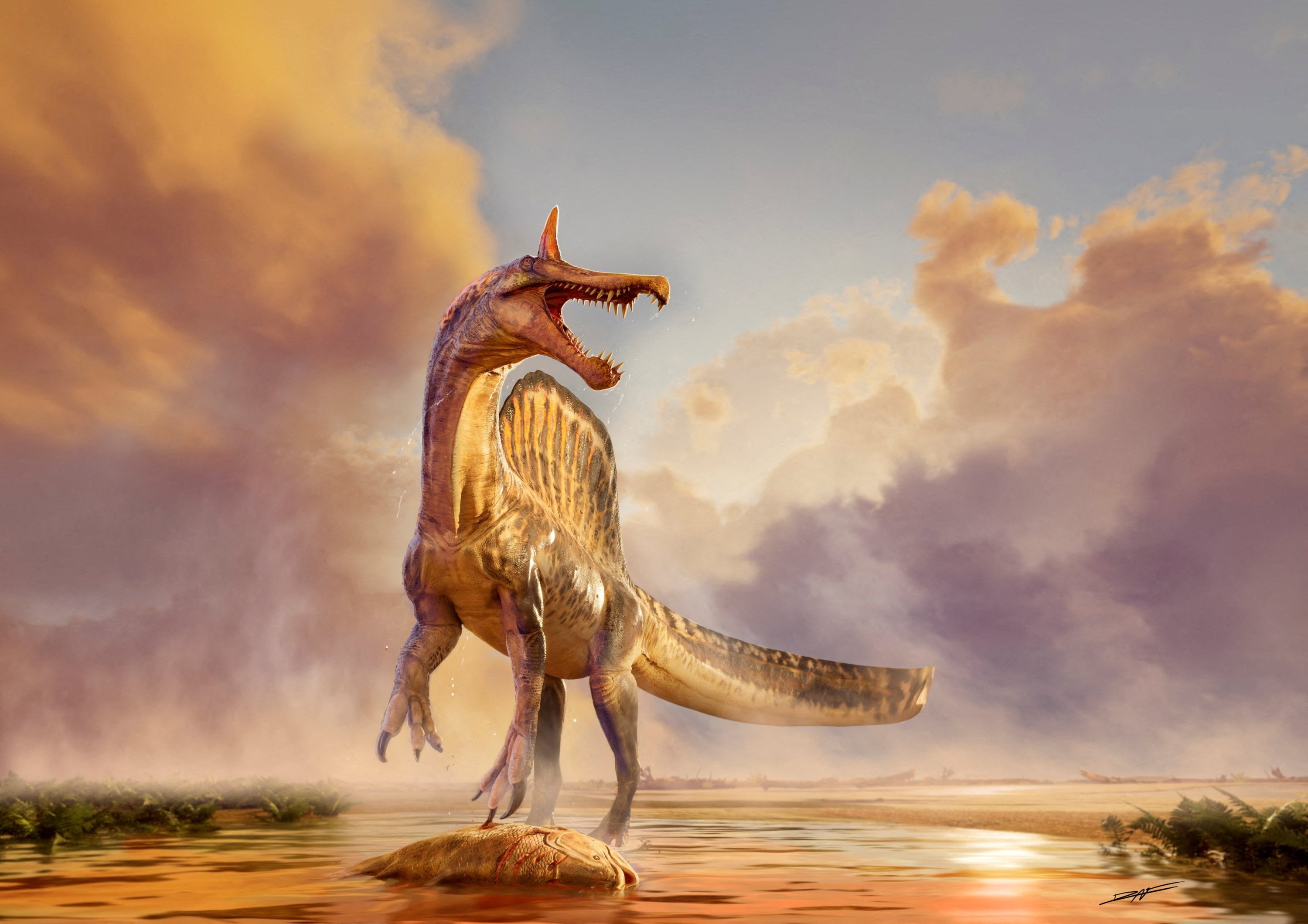 New Spinosaurus species with scimitar-shaped crest discovered in Niger