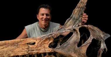 Paleontologist Paul Sereno poses in his Fossil Lab at the University of Chicago with a reconstructed skull of the dinosaur Spinosaurus mirabilis, Feb. 19, 2026. (University of Chicago Handout via Reuters)