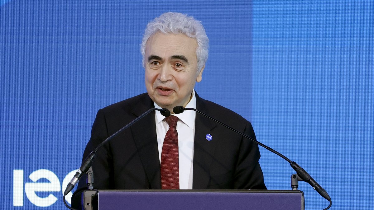 Fatih Birol: Turkish economist shaping global energy politics