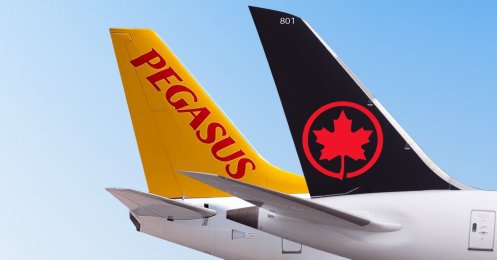 This illustration photo shows logos of Pegasus Airlines and Air Canada on airplane tails, Feb. 20, 2026. (IHA Photo)