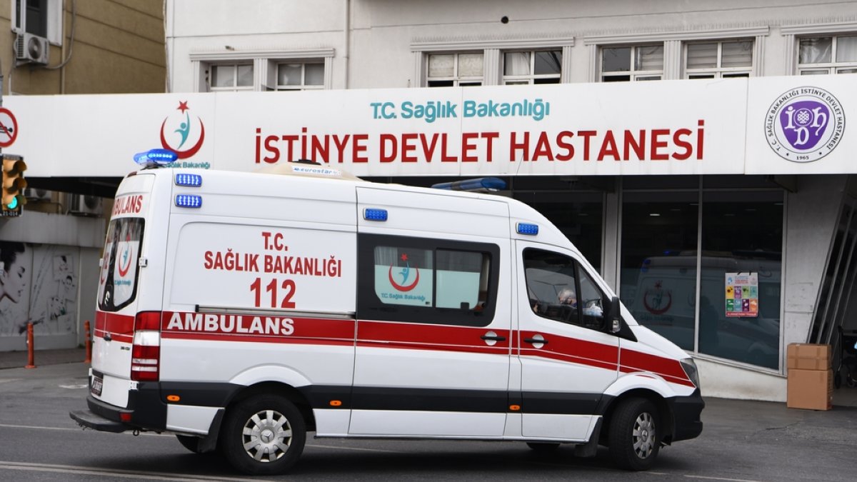 Istanbul records over 123,000 rabies-risk hospital visits in 2025
