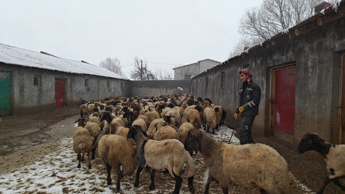 Rural prosperity initiative backs women, youth in Türkiye farming