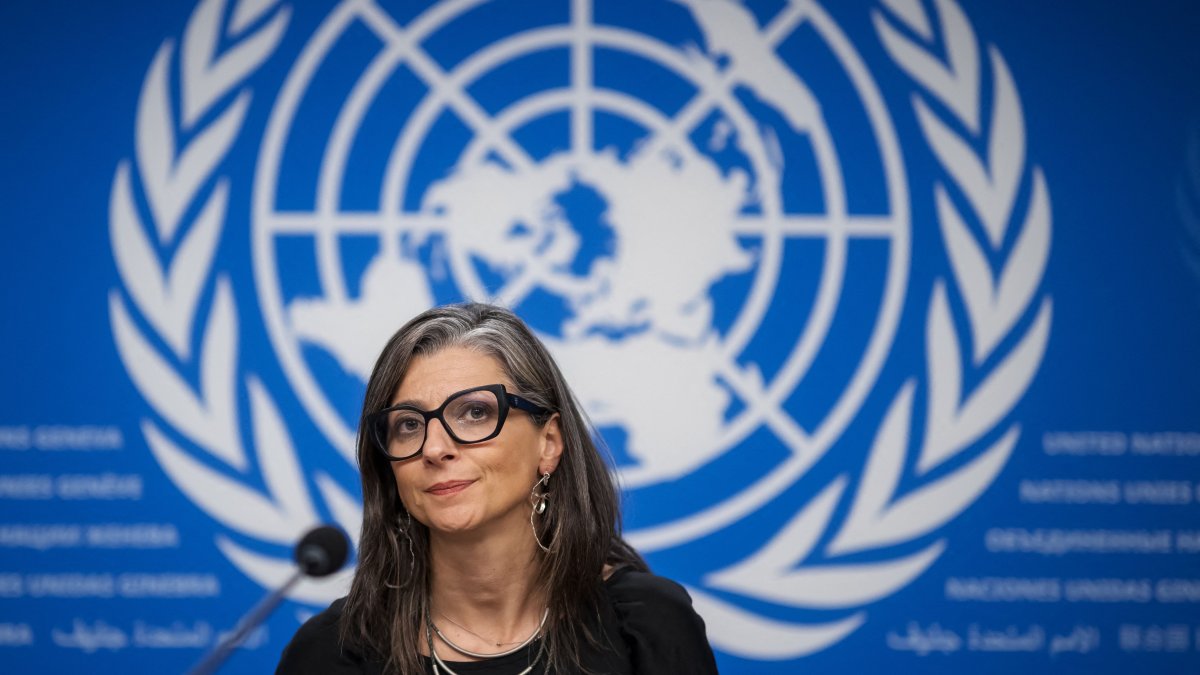Family of UN rapporteur critical of Israel sues Trump admin over sanctions