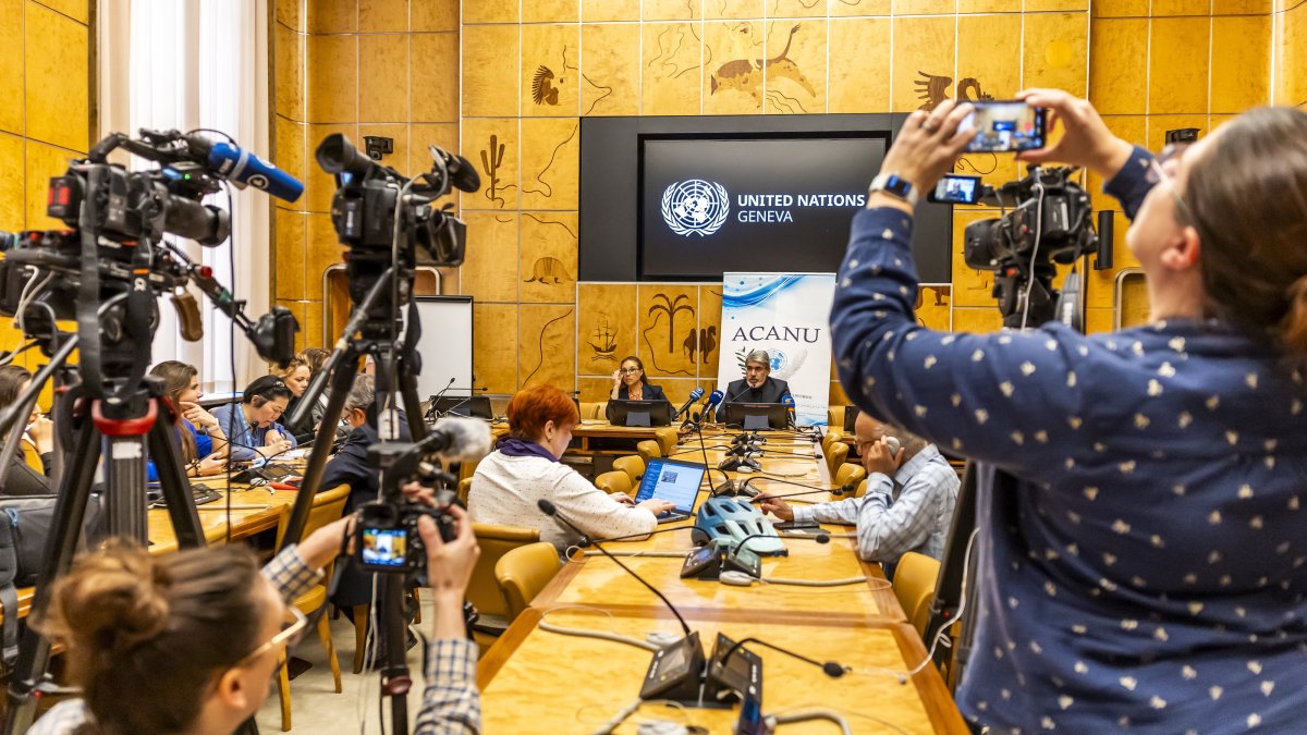 Iran’s UN envoy blasts US strike as 'totally stupid'