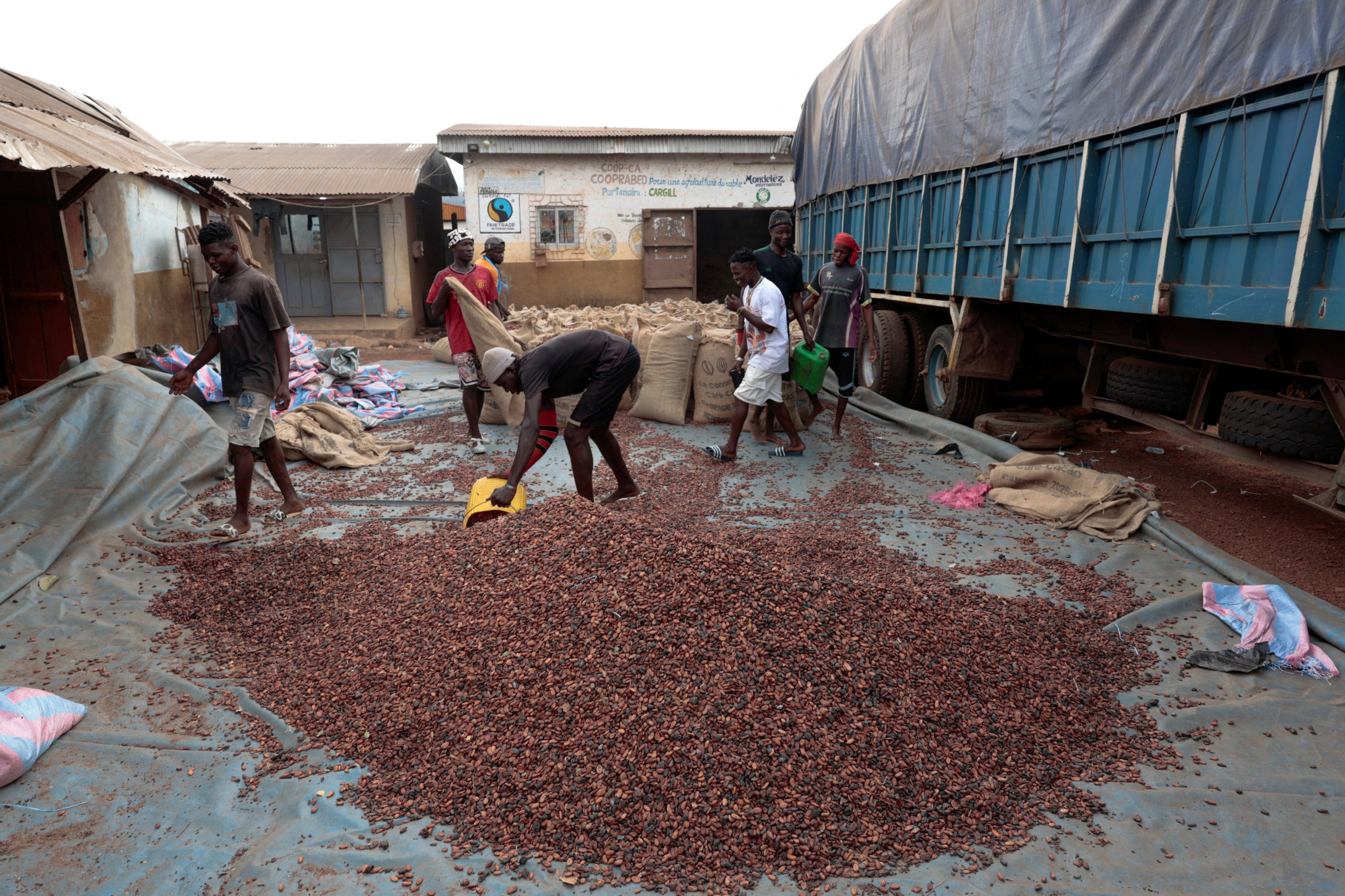 Ivory Coast slashes cocoa farmgate price by nearly 60% amid sales slump