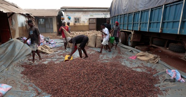 Workers fill sacks with cocoa beans as they prepare to gather unsold stocks of cocoa at the warehouse of Sekou Dagnogo, an independent cocoa buyer, in Fengolo, Ivory Coast, Feb.11, 2026. (Reuters File Photo)
