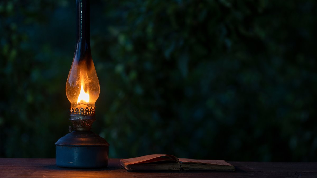 Memoir as memory: Ülkü Tamer’s vision beyond biography