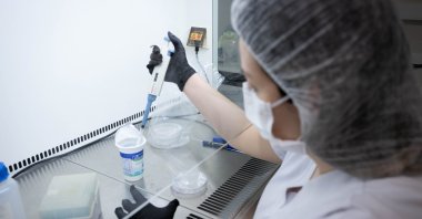 A woman supervises production at a high-capacity dairy processing facility, Ankara, Türkiye, Feb. 27, 2026. (AA Photo) 