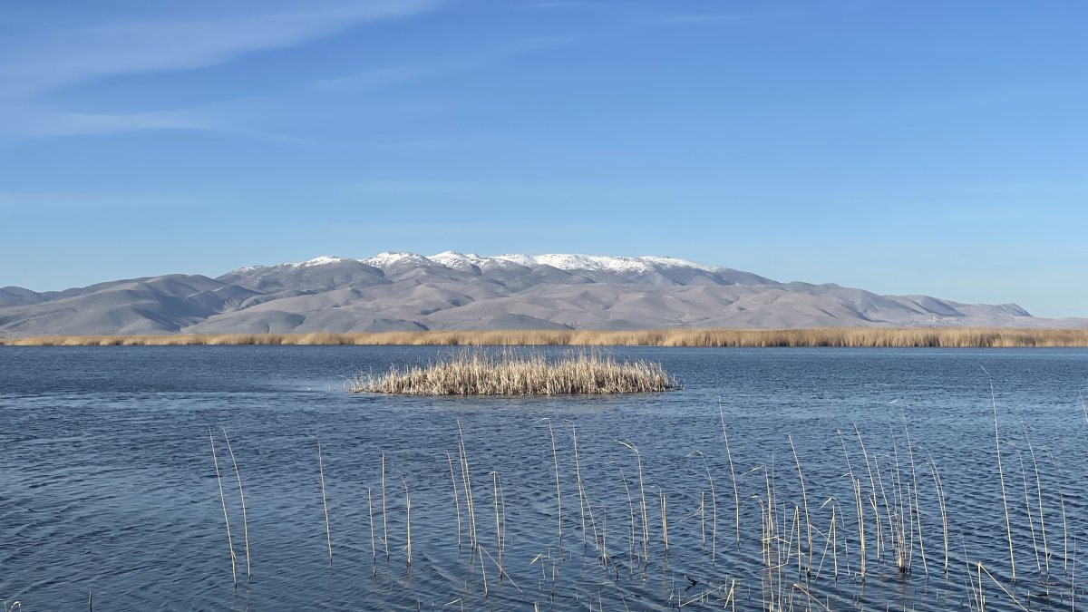 View of Eber Lake and surrounding wetlands, Afyonkarahisar, Türkiye, March 8, 2026. (Photo by Amez Ahmed)