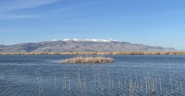 View of Eber Lake and surrounding wetlands, Afyonkarahisar, Türkiye, March 8, 2026. (Photo by Amez Ahmed)