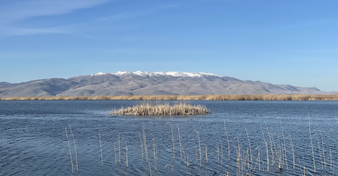 View of Eber Lake and surrounding wetlands, Afyonkarahisar, Türkiye, March 8, 2026. (Photo by Amez Ahmed)