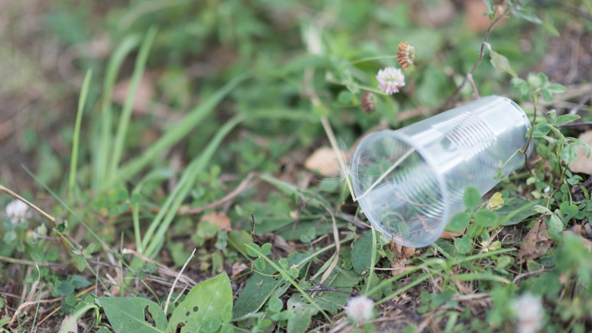 Türkiye moves to ban single-use plastics to reduce pollution
