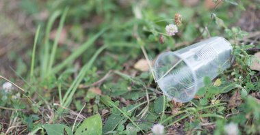 A plastic cup thrown onto the grass. (Shutterstock Photo)