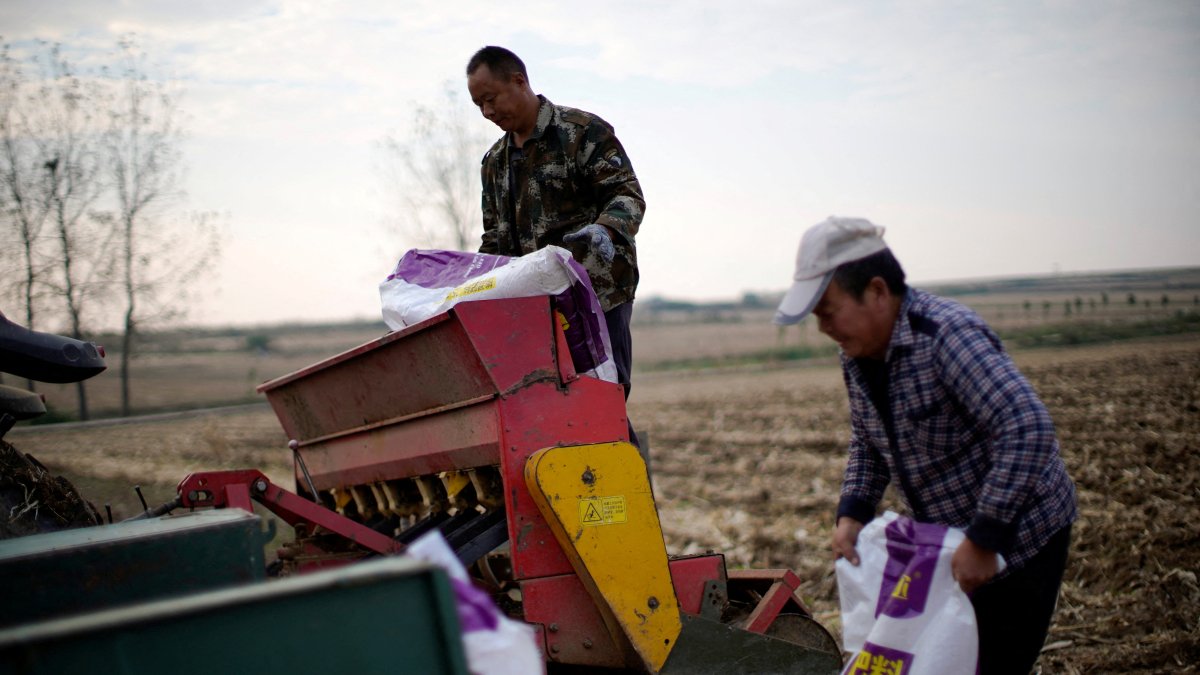 Farmers load sacks of fertilizer into a seeder on a wheat field in Nanyang, Henan province, China, Oct. 13, 2021. (Reuters Photo)