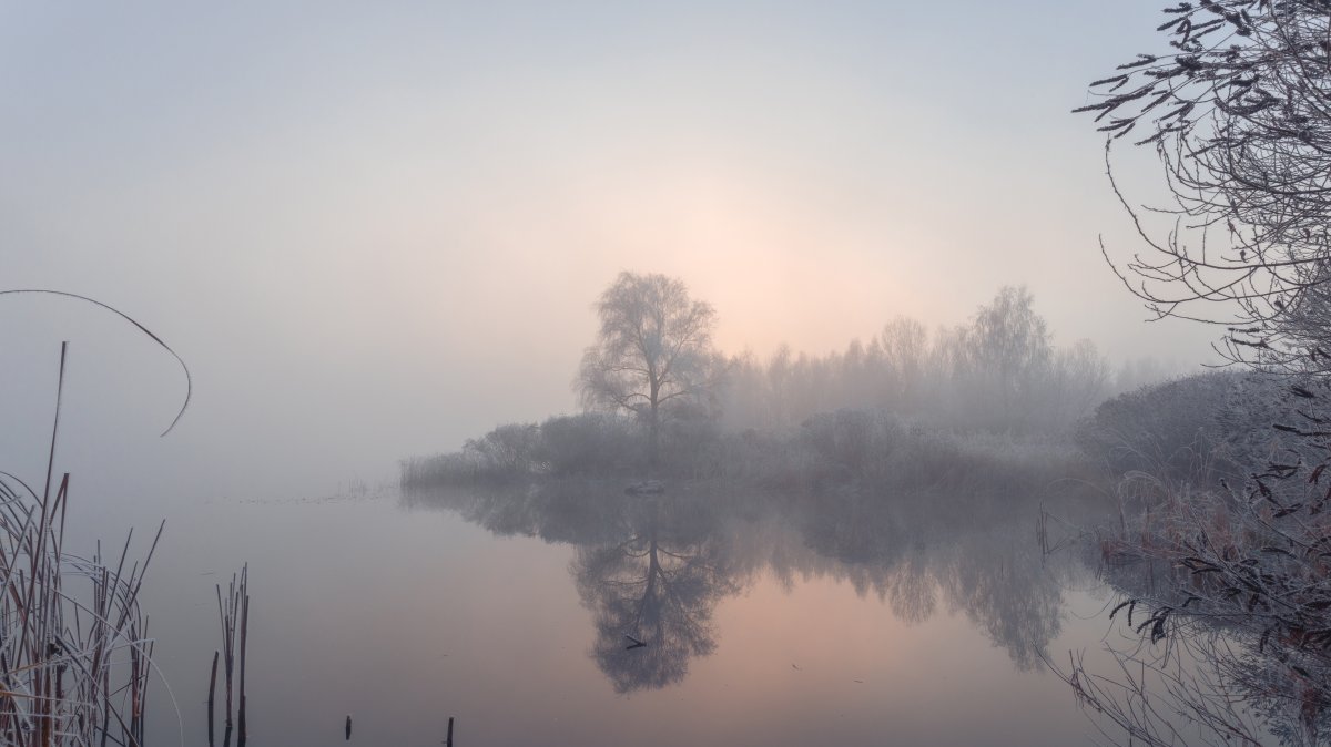 Among the many prominent Sufis he identifies, Farid ud-Din Attar includes three renowned Islamic jurists: Imam Abu Hanifah (d. 767), Imam al-Shafi‘i (d. 820) and Imam Ahmad b. Hanbal (d. 855). (Shutterstock Photo)