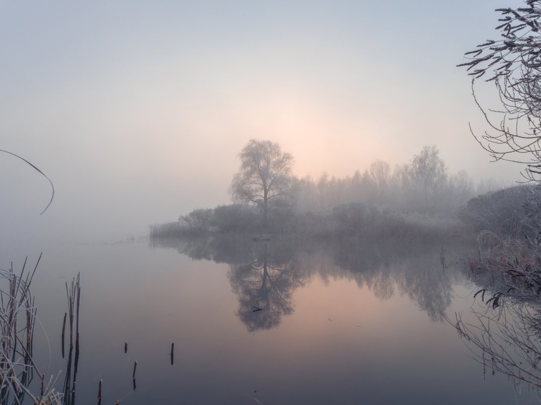 Among the many prominent Sufis he identifies, Farid ud-Din Attar includes three renowned Islamic jurists: Imam Abu Hanifah (d. 767), Imam al-Shafi‘i (d. 820) and Imam Ahmad b. Hanbal (d. 855). (Shutterstock Photo)