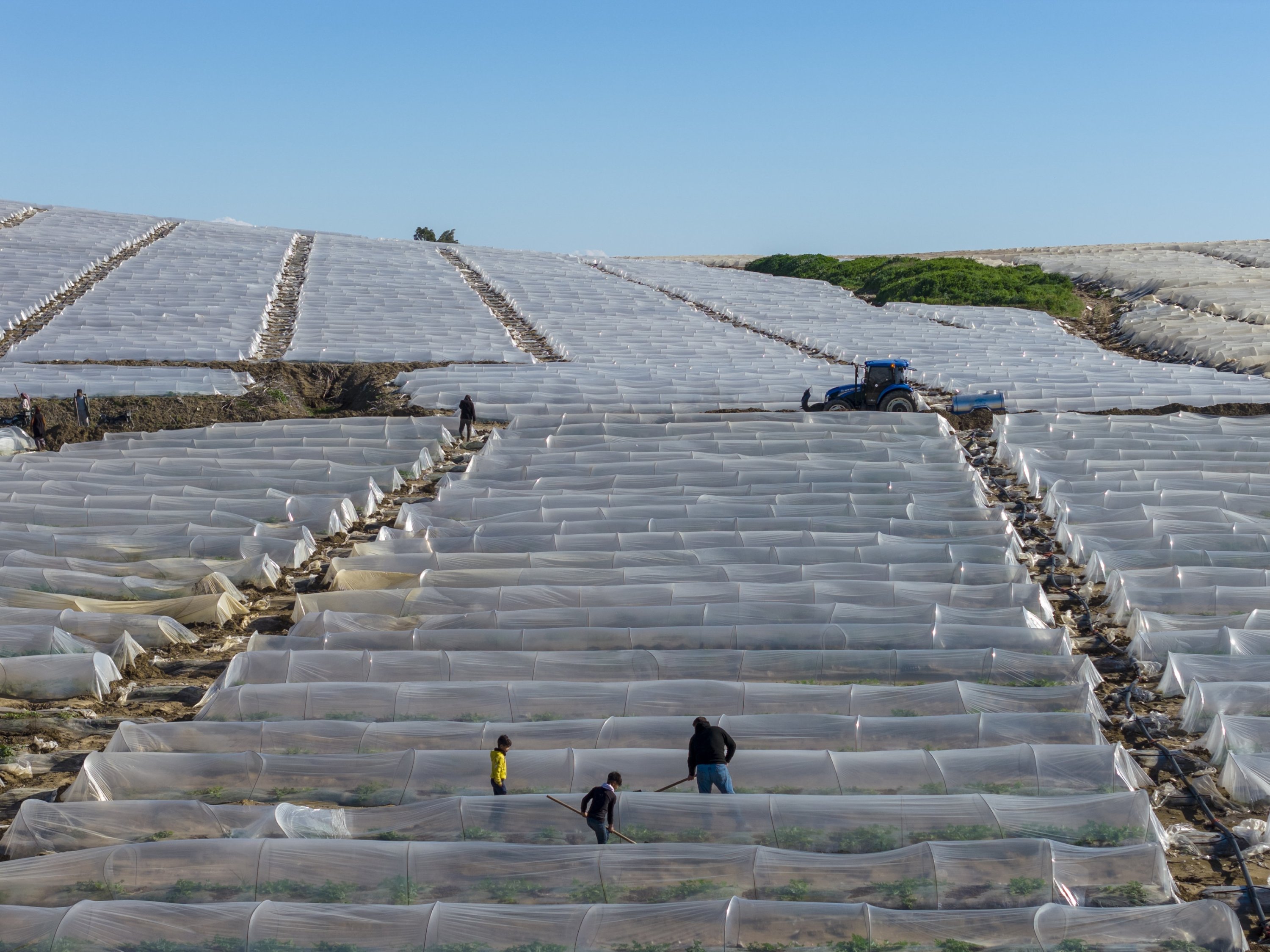 Türkiye advances work on completion of national agricultural census