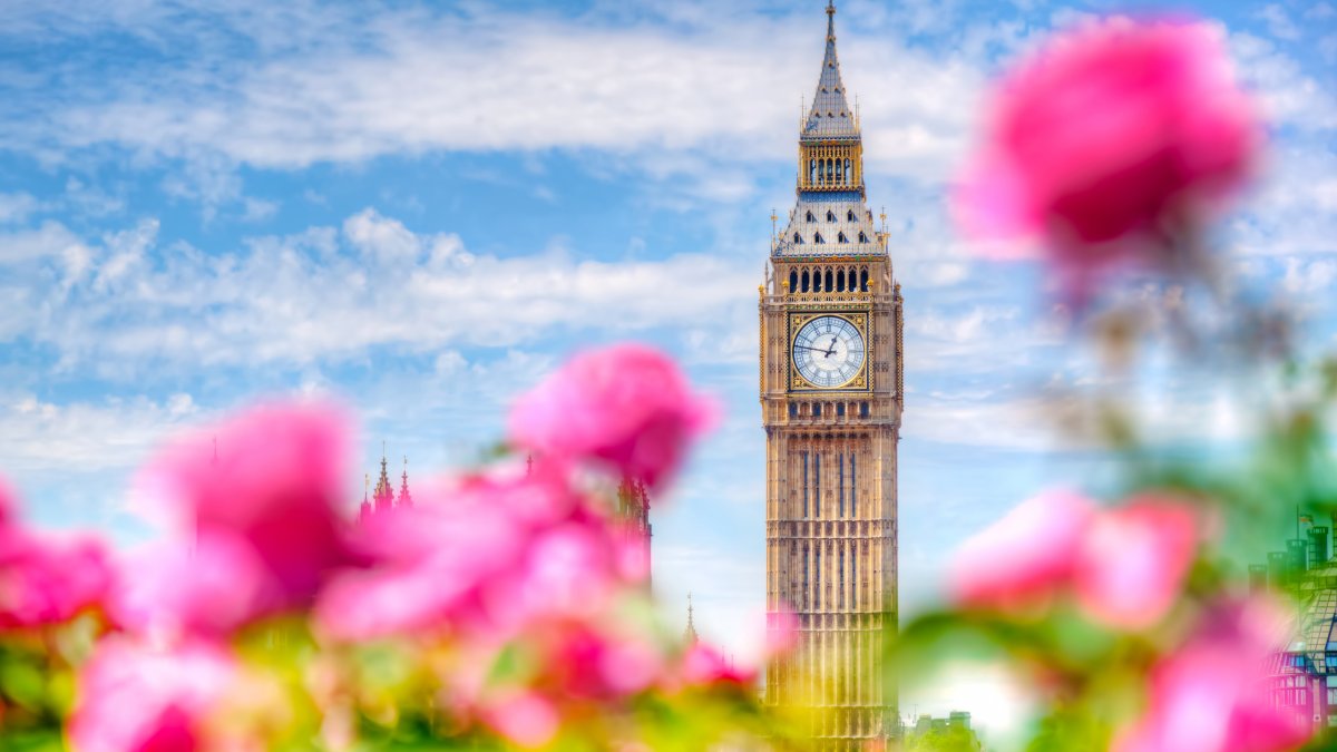 Pink blossoms frame the Elizabeth Tower, commonly known as Big Ben, London, U.K. (Shutterstock Photo)