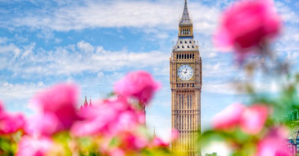 Pink blossoms frame the Elizabeth Tower, commonly known as Big Ben, London, U.K. (Shutterstock Photo)