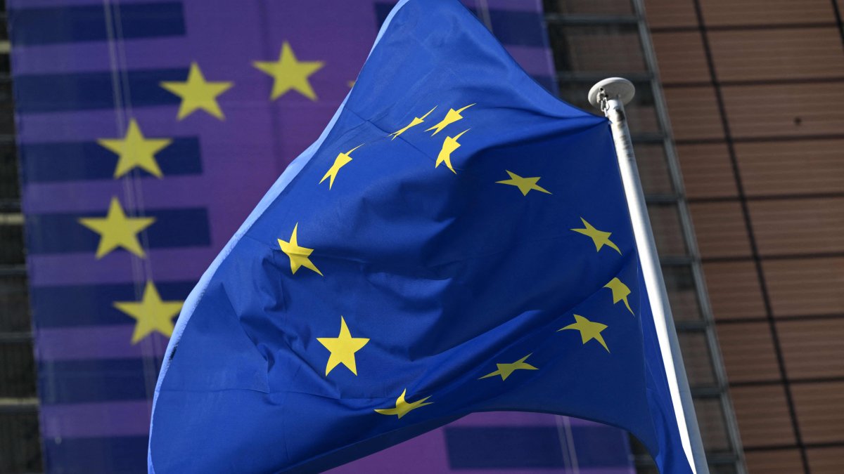 EU floats idea for Türkiye to join its payments system