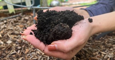A sample of soil is displayed at a home on Long Island, N.Y., U.S., Aug. 21, 2025. (AP Photo)