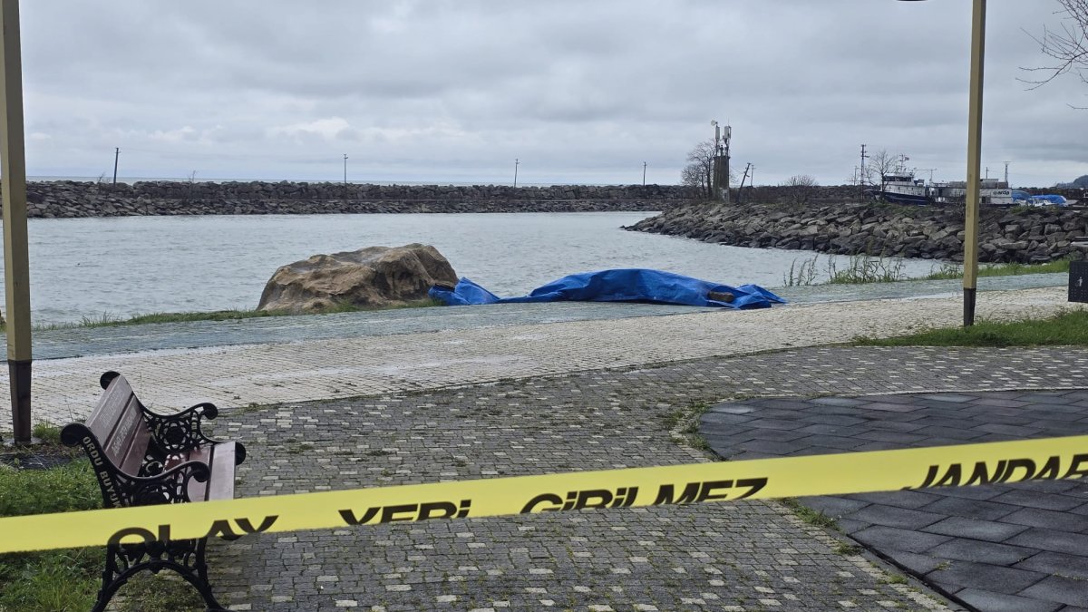 A security cordon is seen close to an area where an object believed to be an unmanned aerial or sea vehicle was washed ashore, Ordu, northern Türkiye, March 26, 2026. (DHA Photo)