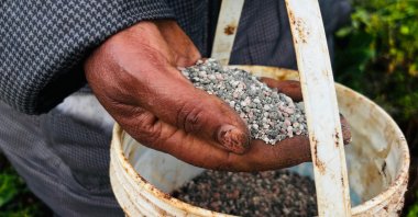 Elizabeth Wangua applies fertilizer to her land in Limuru, Kenya, March 25, 2026. (AP Photo)